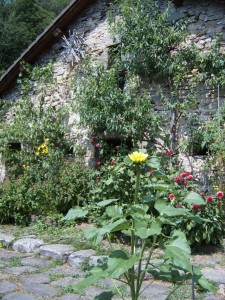 Terasse Casa Clara
